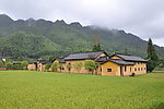 大井