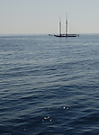 大海