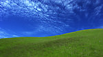 草地天空
