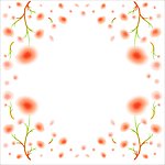 花纹