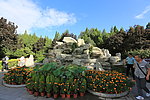 秋游圆明园