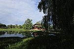 秋游圆明园