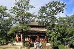 秋游圆明园