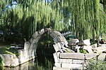 秋游圆明园