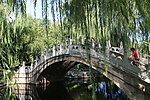 秋游圆明园