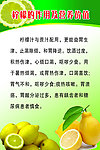 柠檬的作用及营养价值