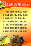 榴莲的作用及营养价值