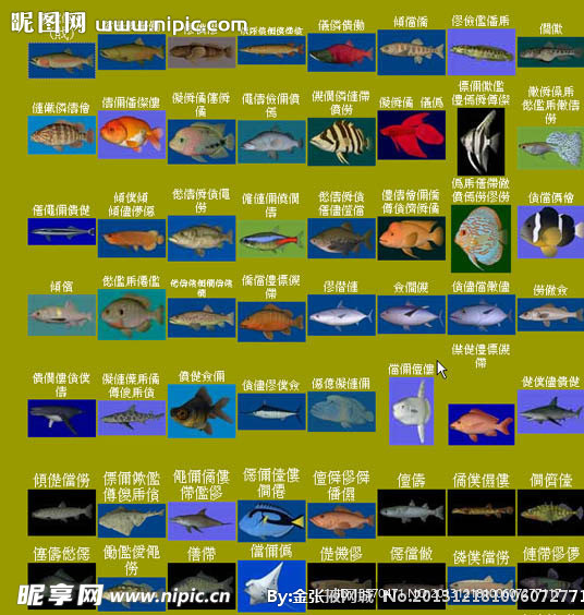 40种鱼模型