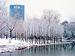 浙江大学紫金港雪景