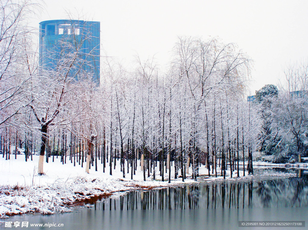 浙江大学紫金港雪景