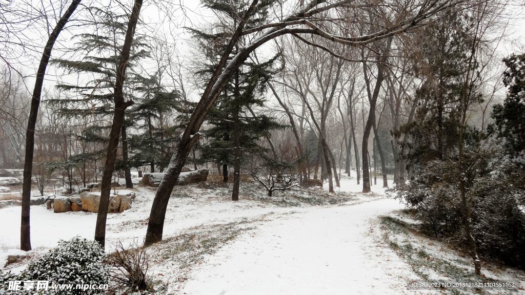 雪景