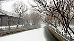 雪景