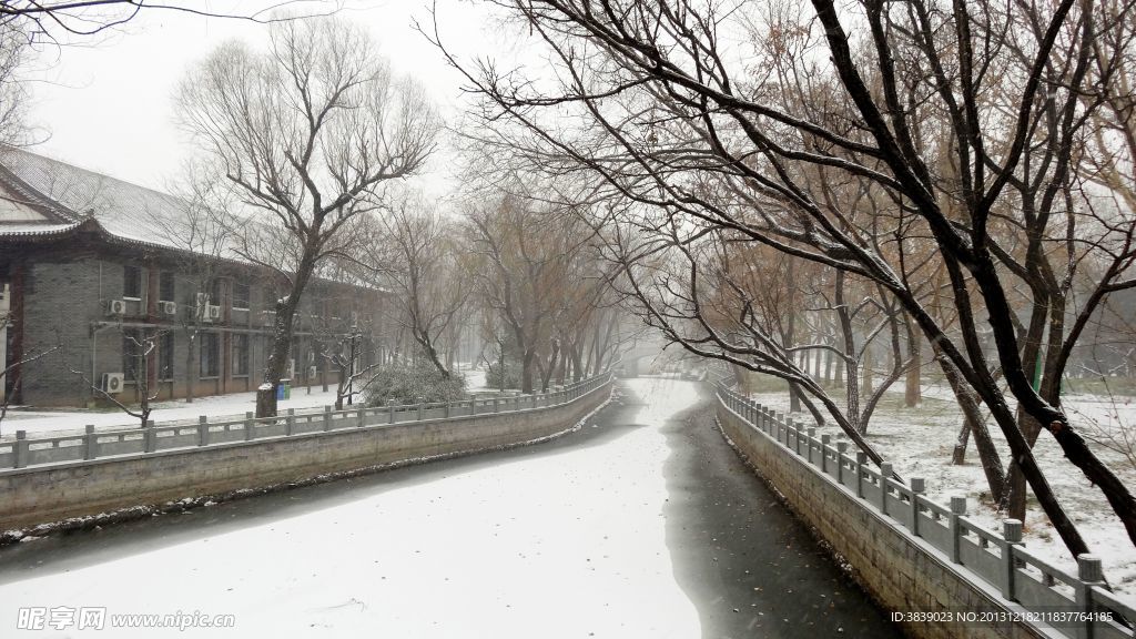 雪景