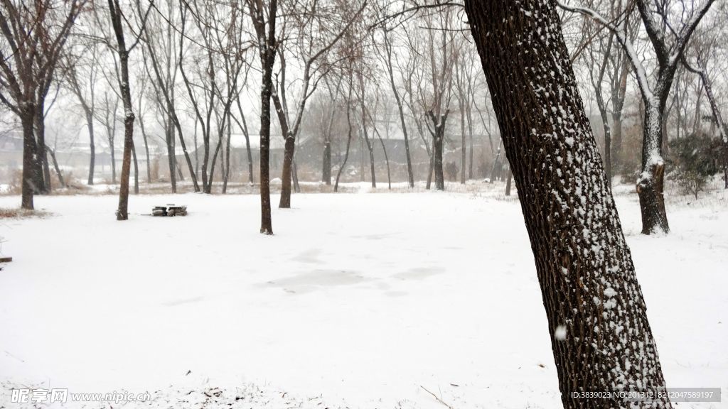 雪景