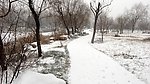 雪景