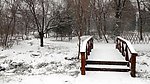 雪景