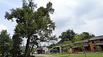 茅坪