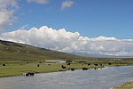 西藏风景