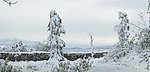 洱海雪