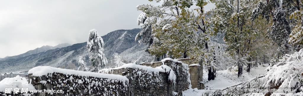 苍山雪