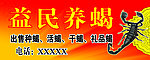 益民养蝎