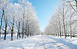 冬季雪景暖冬背景