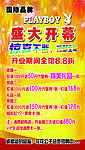 花花公子