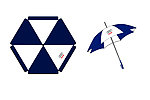 奥迪雨伞