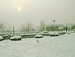 石家庄雪景