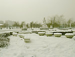 公园雪景