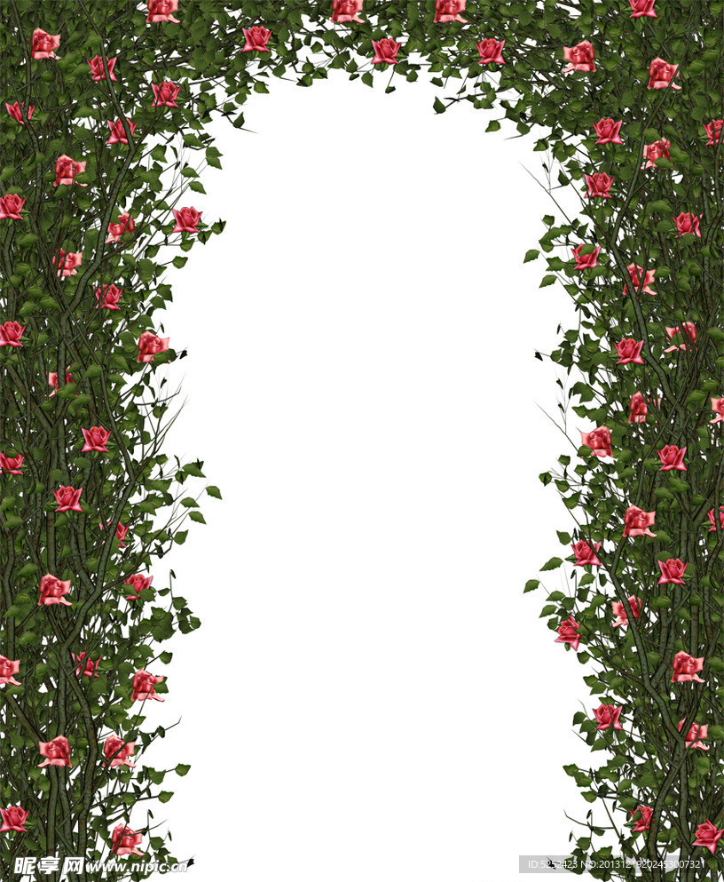 花朵边框