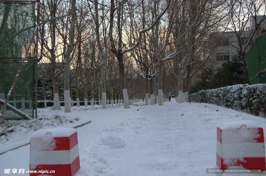 雪后人行道