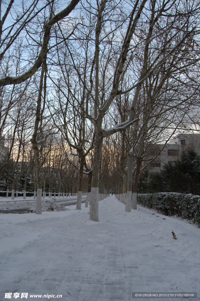 雪后人行道
