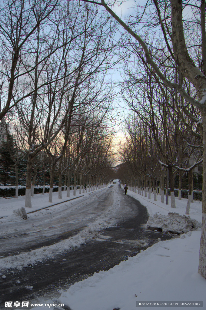 雪后大马路