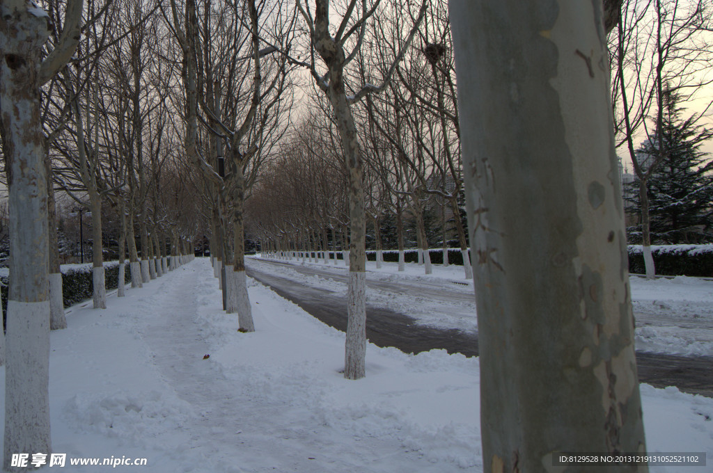 雪后小路