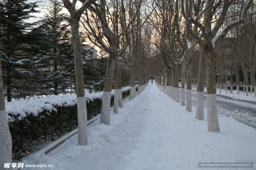 雪后小路