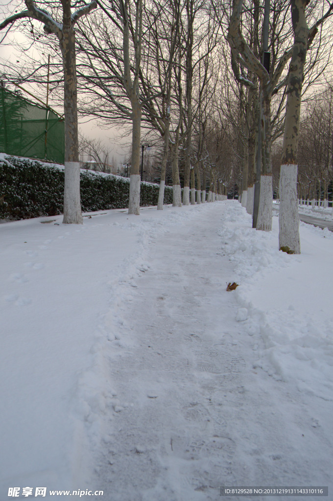 雪后人行道