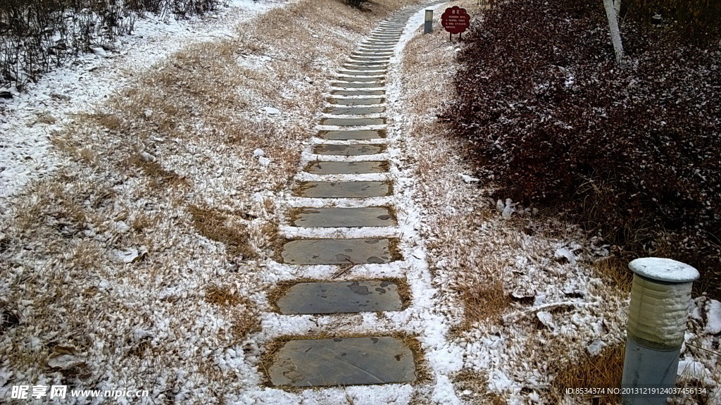 泉景园的小雪