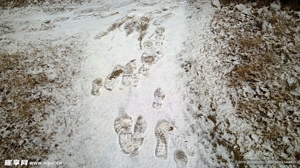 泉景园的小雪