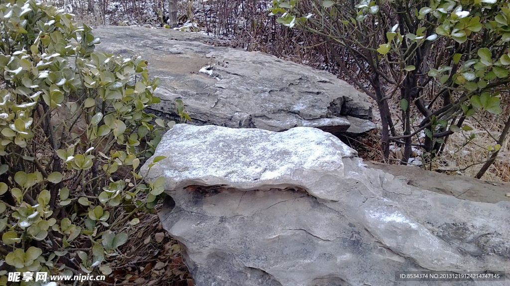 泉景园小雪