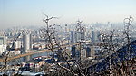 山城