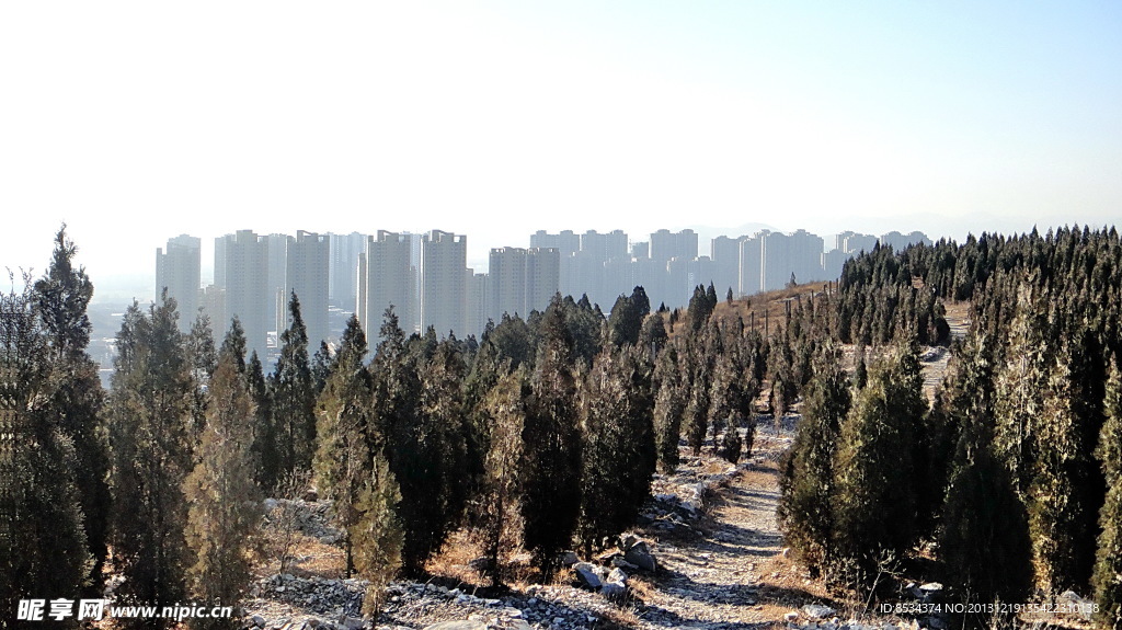山城