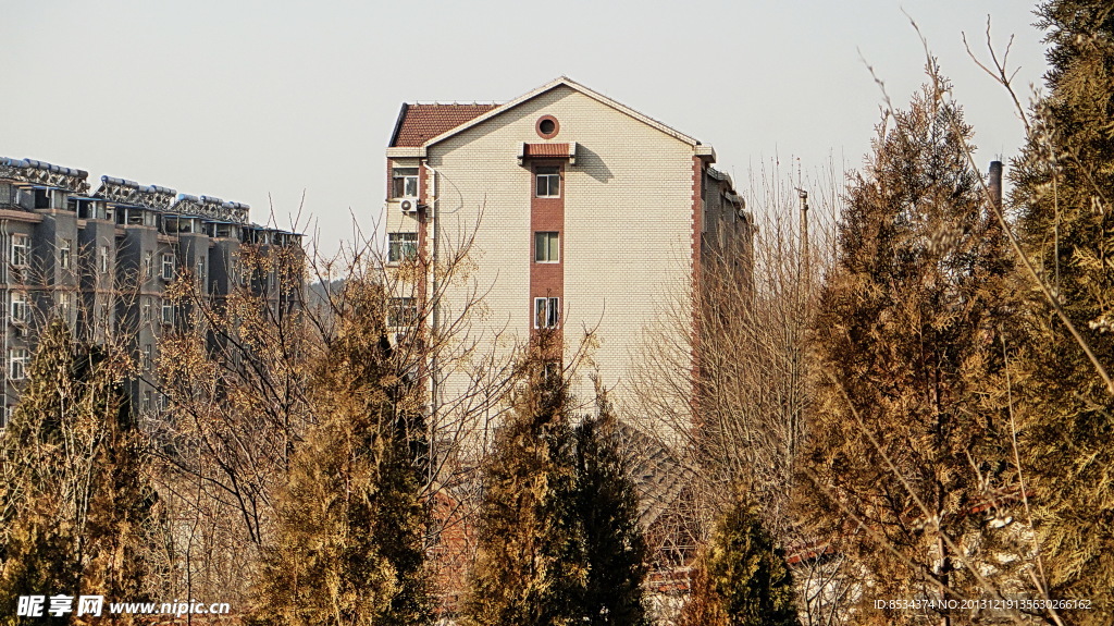山城