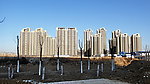 新城