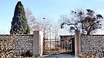 老树村