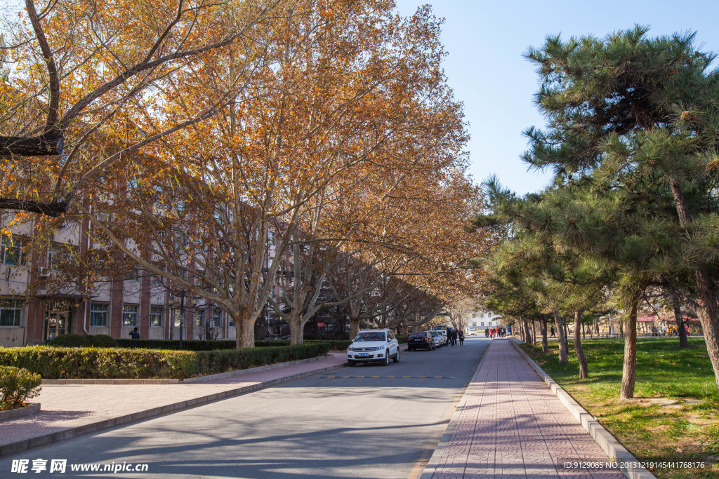 对外经济贸易大学
