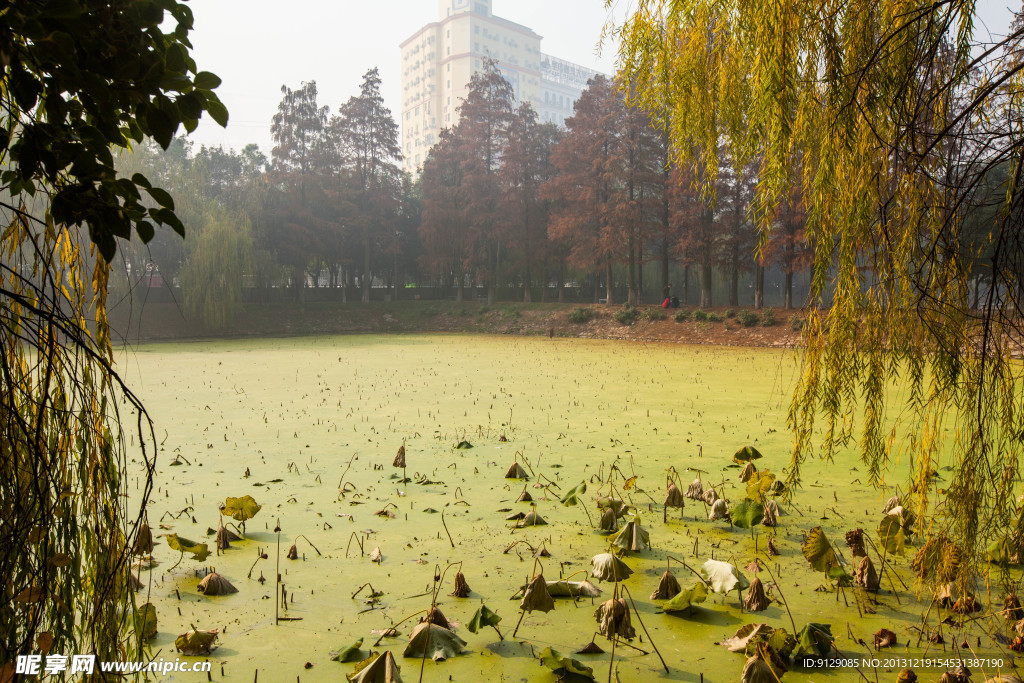 华中科技大学