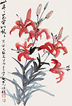 山丹丹花开红艳艳