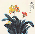珠露