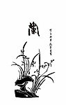 幽兰